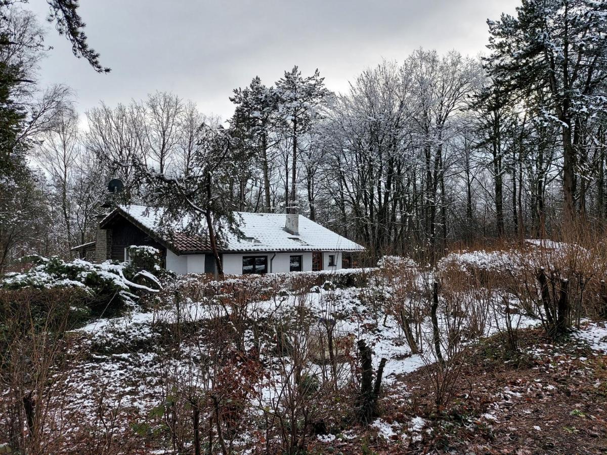 Chalet Des Pins D'Autriche Comblain-Fairon Eksteriør billede